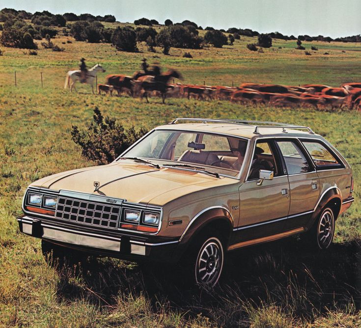 Vintage car parked in a grassy field with horses in the background, showcasing classic design and rural landscape.