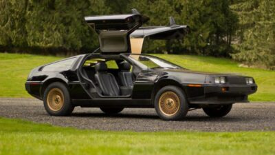 Vintage car with iconic gull-wing doors, parked on grass, surrounded by trees. Classic automotive design and style shown.