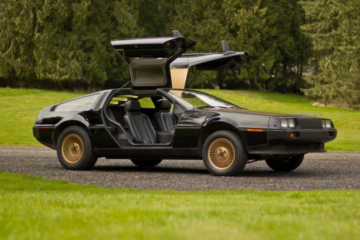 Vintage car with iconic gull-wing doors, parked on grass, surrounded by trees. Classic automotive design and style shown.