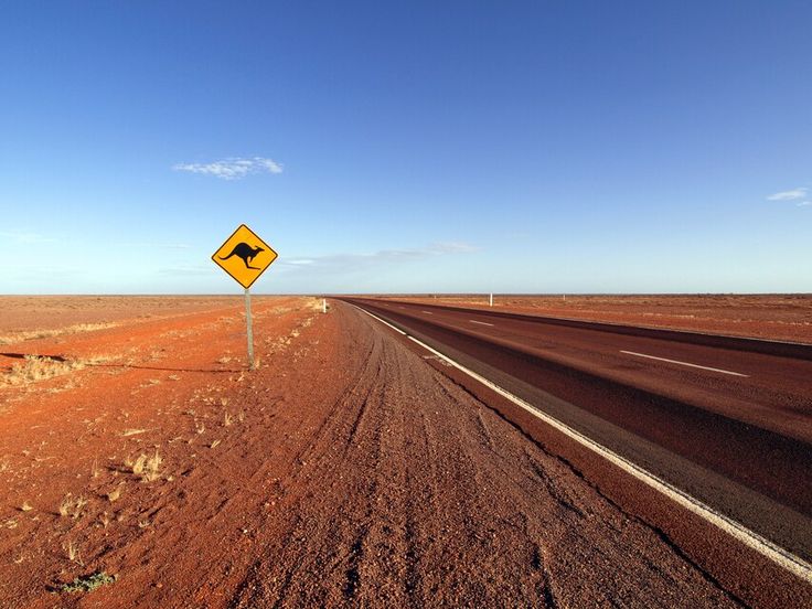 Open road in Australian Outback with kangaroo crossing sign under clear blue sky.