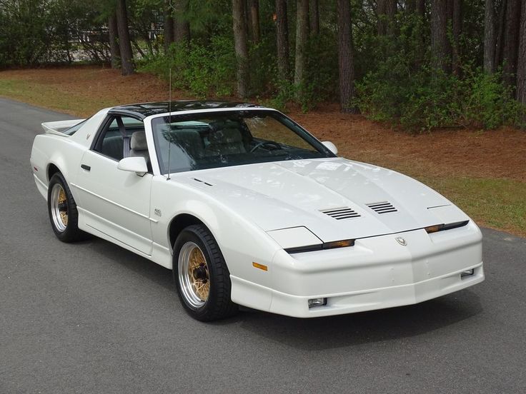 White classic sports car parked on a forest road, showcasing sleek design and golden wheels. Ideal for vintage car enthusiasts.