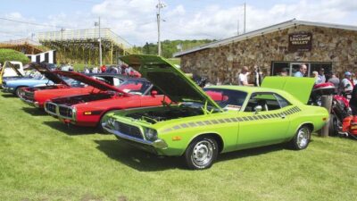 Vintage cars with open hoods displayed at a car show on grassy field, showcasing classic models in vibrant colors.