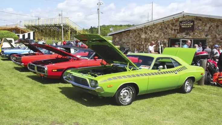 Vintage cars with open hoods displayed at a car show on grassy field, showcasing classic models in vibrant colors.
