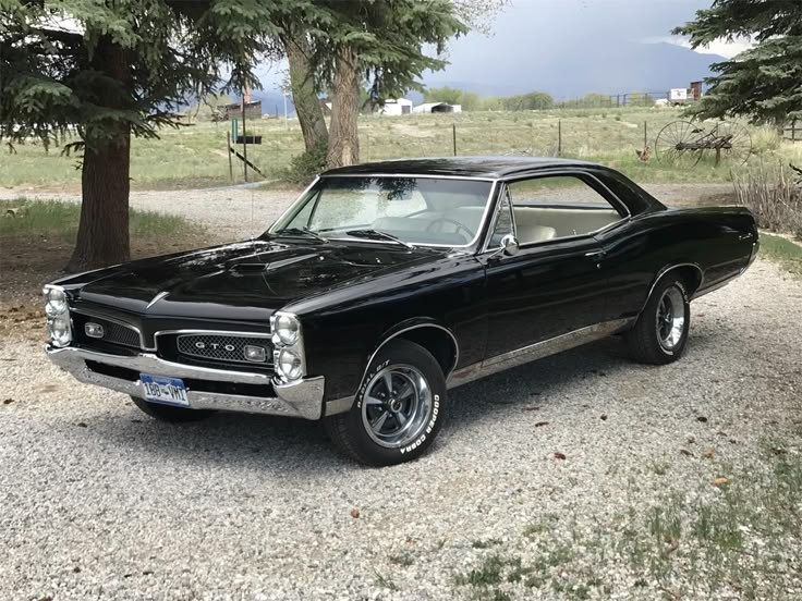 Classic black Pontiac GTO parked outdoors on gravel, surrounded by trees and open countryside.