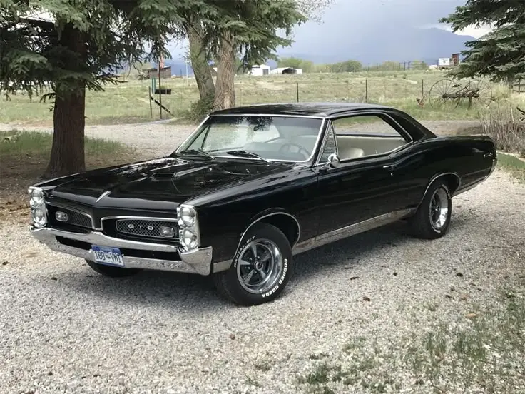 For Sale_ 1967 Pontiac GTO in Salida Colorado - Engine Stories Classic black Pontiac GTO parked outdoors on gravel, surrounded by trees and open countryside.