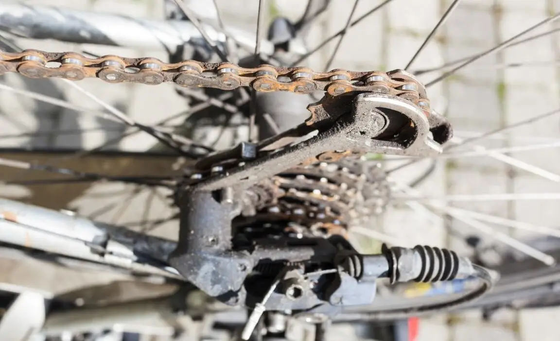 Close-up of a rusty bicycle gear and chain, highlighting mechanical wear and maintenance needs.