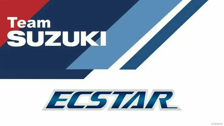 Team Suzuki Ecstar logo featuring bold blue and red geometric design elements for motorsport branding.